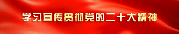 图片31.png