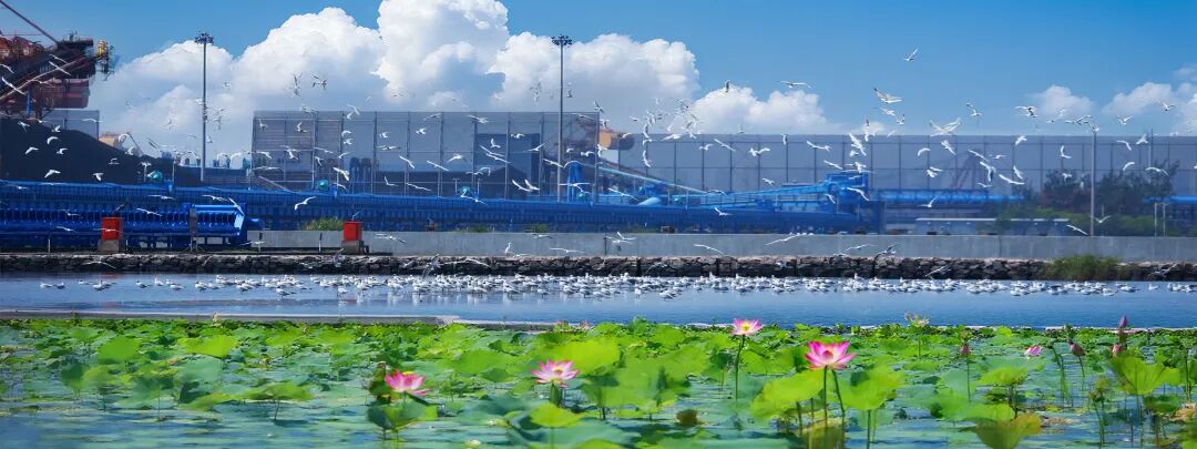 2025101715431760687020414043602.jpg 2025101715431760687020414043602.jpg