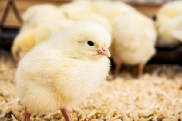 2025102015491760946566913027619.png 2.png