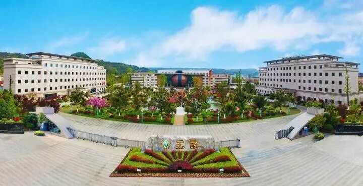 2025102217121761124350400082957.jpg 2025102217121761124350400082957.jpg