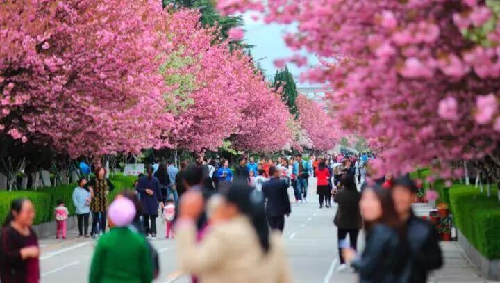 2025102217131761124390762092951.jpg 2025102217131761124390762092951.jpg