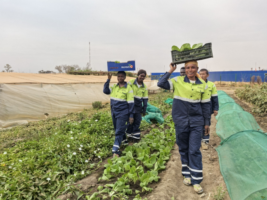 2025103016081761811701916080072.png 2025103016081761811701916080072.png